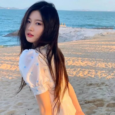 追影行动