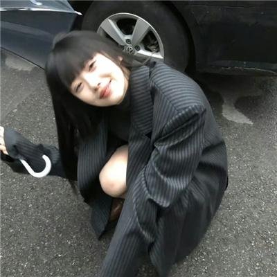 我的朋友是萌鲨